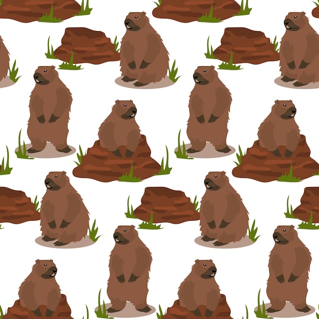 Vector a pattern of groundhogs for groundhog day with a burrow from which he got out a harbinger of spring