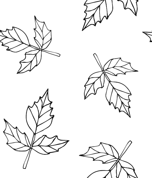 Pattern of hand drawn leaves