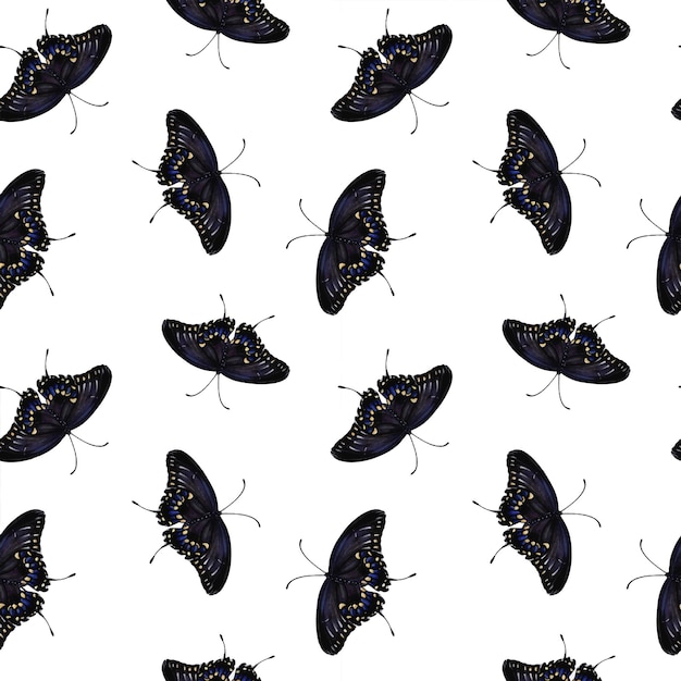 A pattern of large black swallowtail butterflies