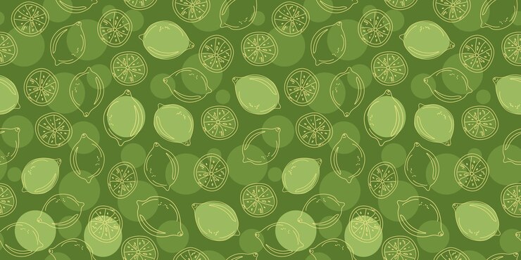 Vector pattern lemon slice citrus fruit hand drawn sketch doodle line icons seamless background