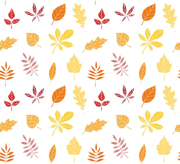 나뭇잎의 패턴