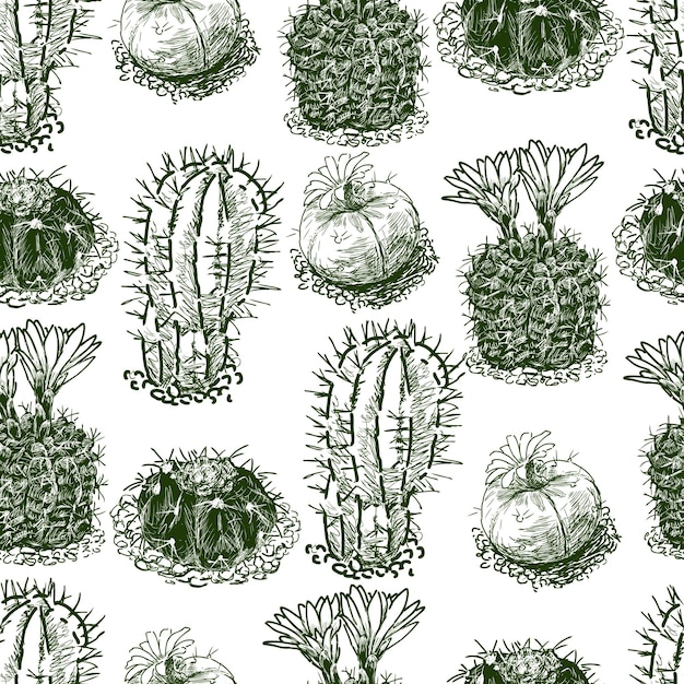 Шаблон нарисованных кактусов
