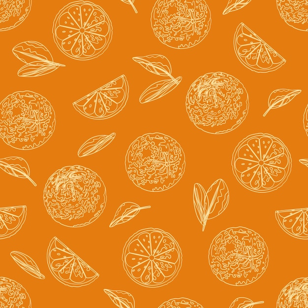 Vector a pattern of oranges drawn with lines