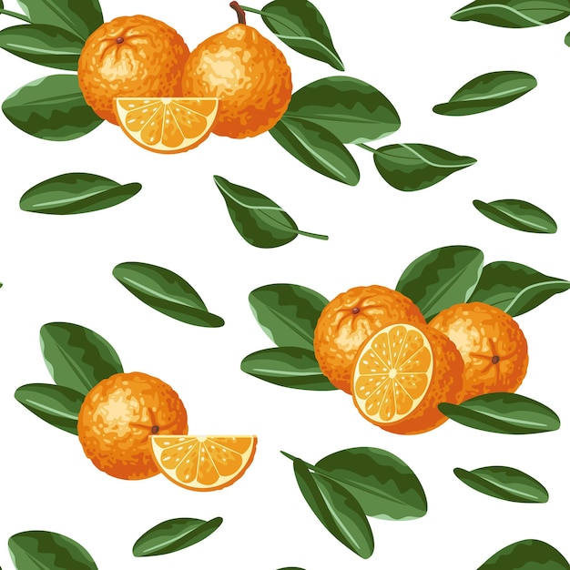 Vector pattern of oranges on a white background