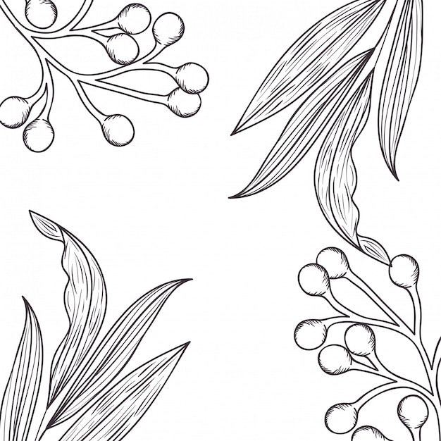 Pattern plants and herbs isolated icon