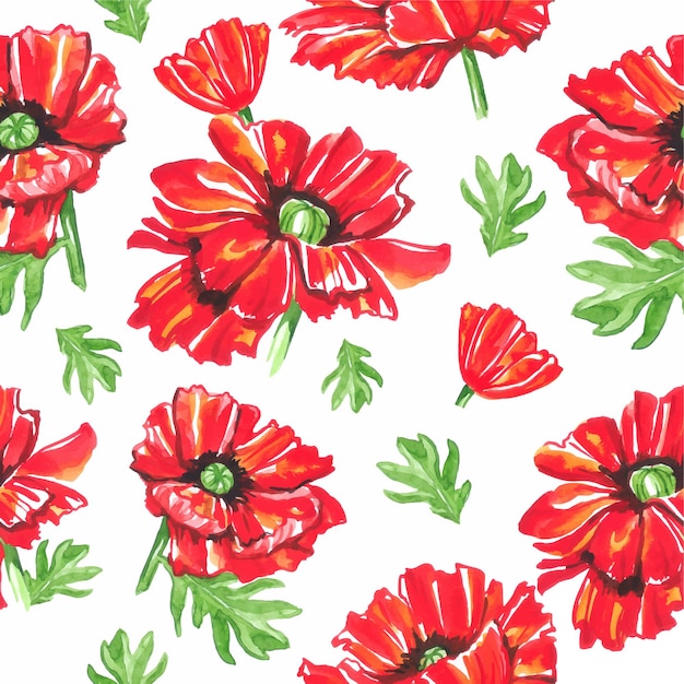 Pattern poppy flowers