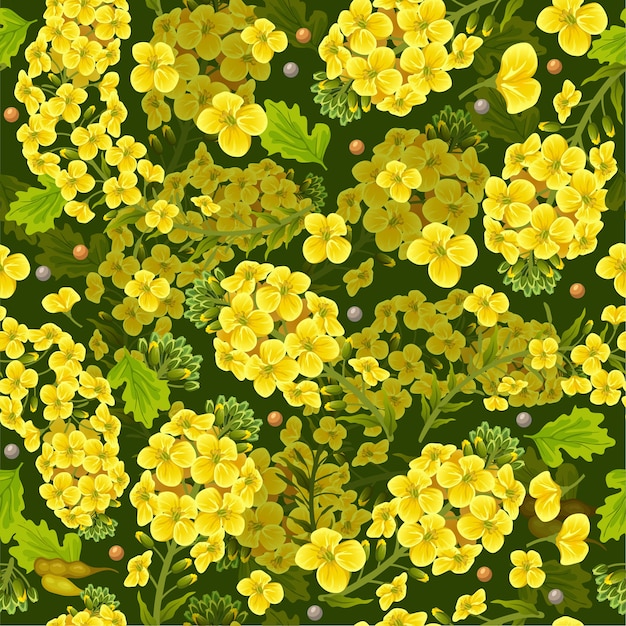 Pattern rape flowers and leaves, canola.