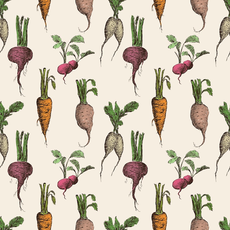 Vector pattern of the ripe roots