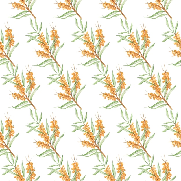 Pattern sea buckthorn watercolor