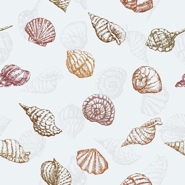 Vector pattern of the sea shells