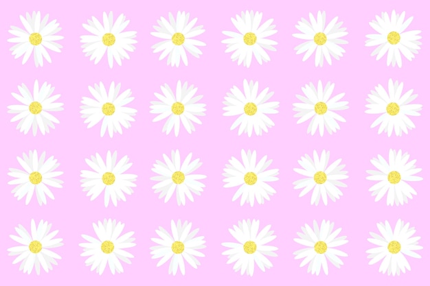 Pattern and set of daisies on pink background