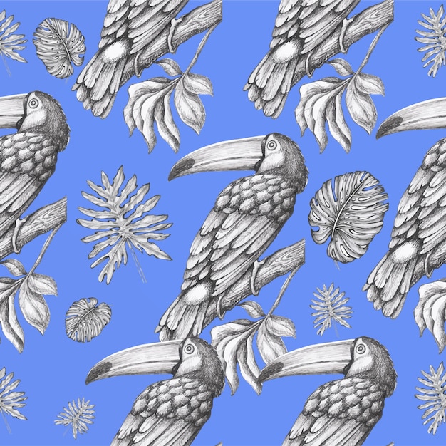 Pattern toucans birds