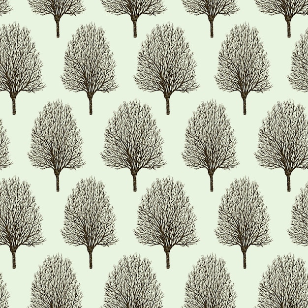 Pattern of the trees in springtime