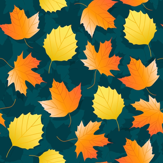 Pattern of variety of colorful trendy autumn leaves. Vector illustrations for web, app and print