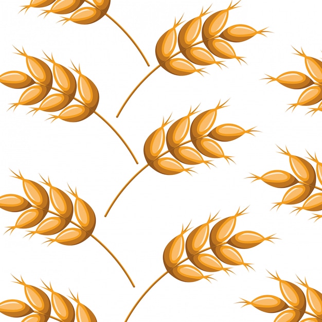 Pattern wheat leaves isolated icon