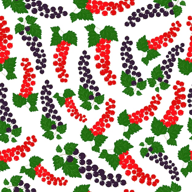 Pattern with currant Seamless pattern with red and black currants