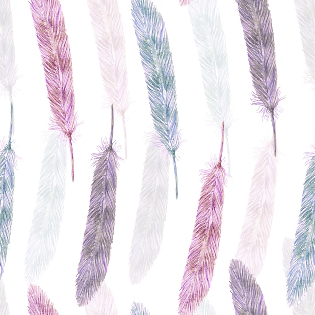 Vector pattern with feathers on a white background