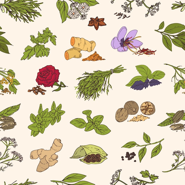 Vector pattern with various fresh tasty spices or piquant condiments on light background. plants with leaves, seeds and flowers.
