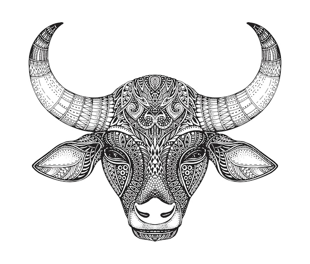 Testa modellata del toro. illustrazione vettoriale disegnato a mano in stile doodle ornato.