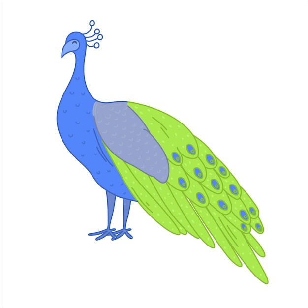 Vector pauw met groene en blauwe veren, vectorillustratiebeeldverhaal.