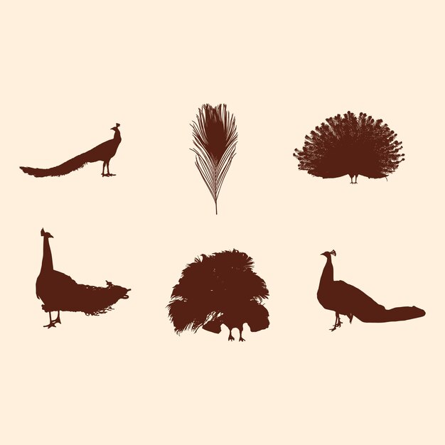 Pauw silhouet vector pack