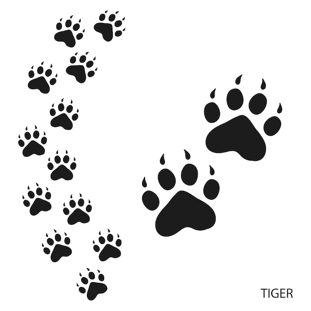 Отпечатки лап животных, следы следов тигра, икона и следы следов, черный силуэт