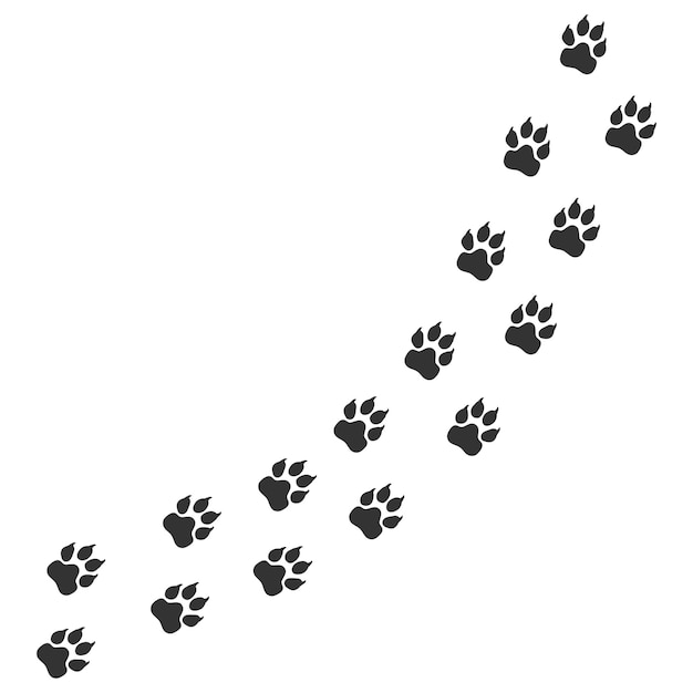 Paws of a leopard Animal paw prints diagonal animal tracks for prints Vector illustration