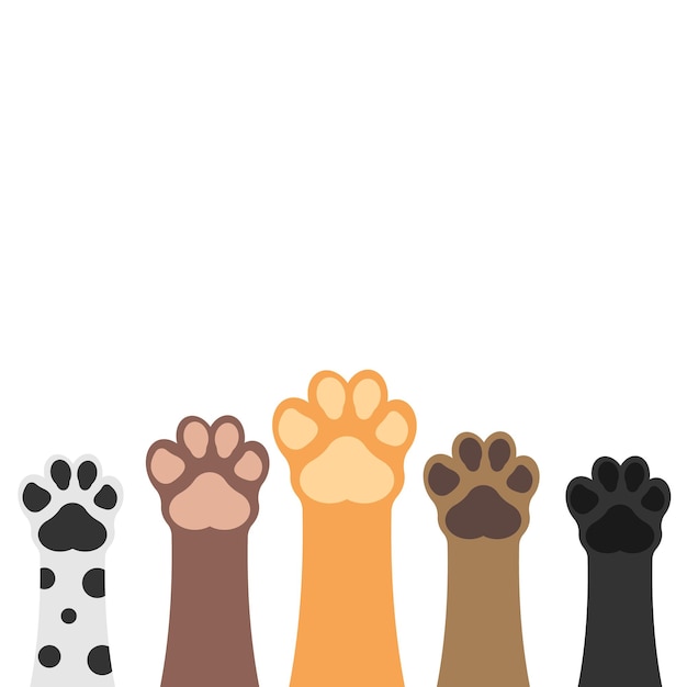 Vector paws up pets set isolated on white background vector illustration