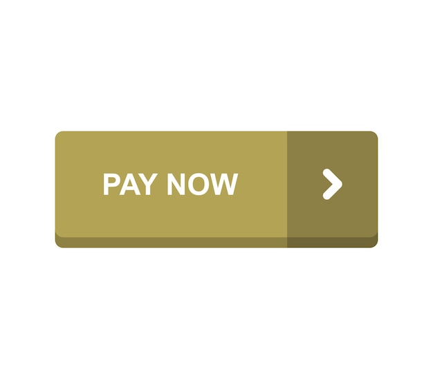 Pay now button