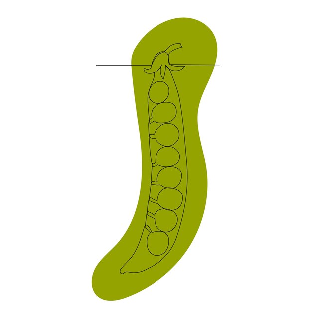 Pea drawing by one continuous line sketch vector