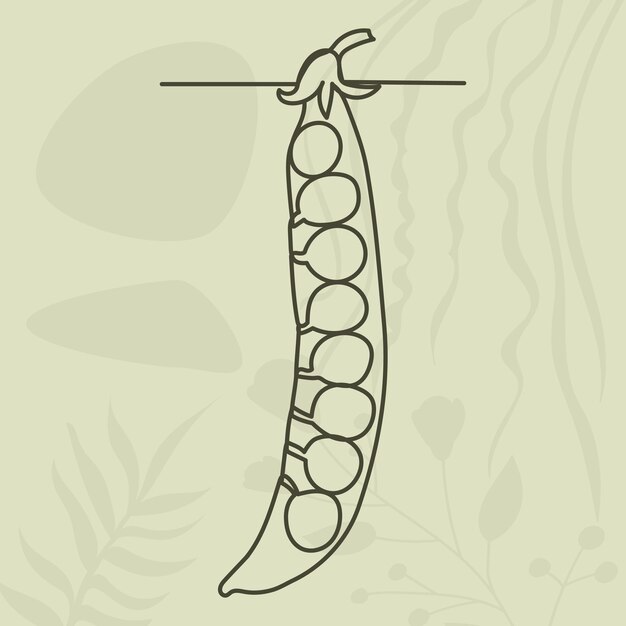 Pea drawing in one continuous line isolated vector