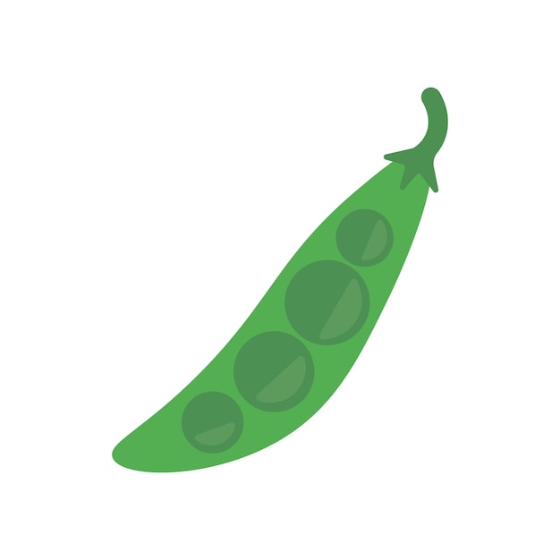 Vector pea vegetable vector illustration colored