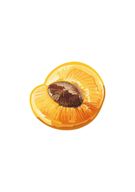 Персиковые или абрикосовые фрукты Летние вкусные фрукты Векторная иллюстрация в плоском стиле