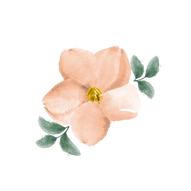 Peach color watercolor flower