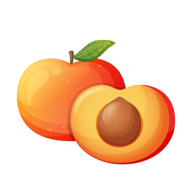 Вектор Дизайн иконы персика свежие фрукты