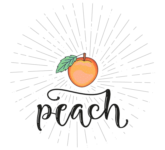 Peach Fruit symbol for farm market menu