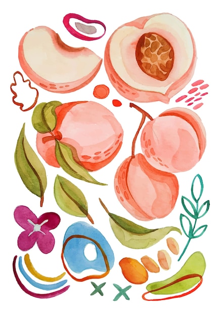 peach fruit watercolor elements