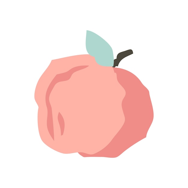 Peach hand drawn flat icon isolated on white Colorful vector sign logo illustration Flat style design