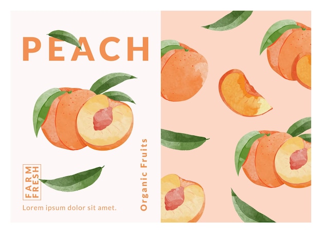 Peach packaging design templates watercolour style vector illustration