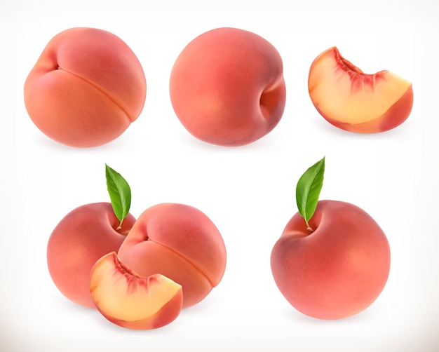 Peach. Sweet fruit.   icons set. Realistic illustration