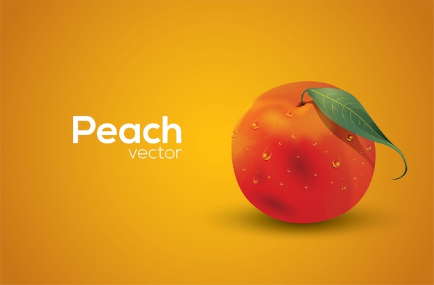 Peach vector art