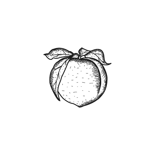 桃のヴィンテージロゴ