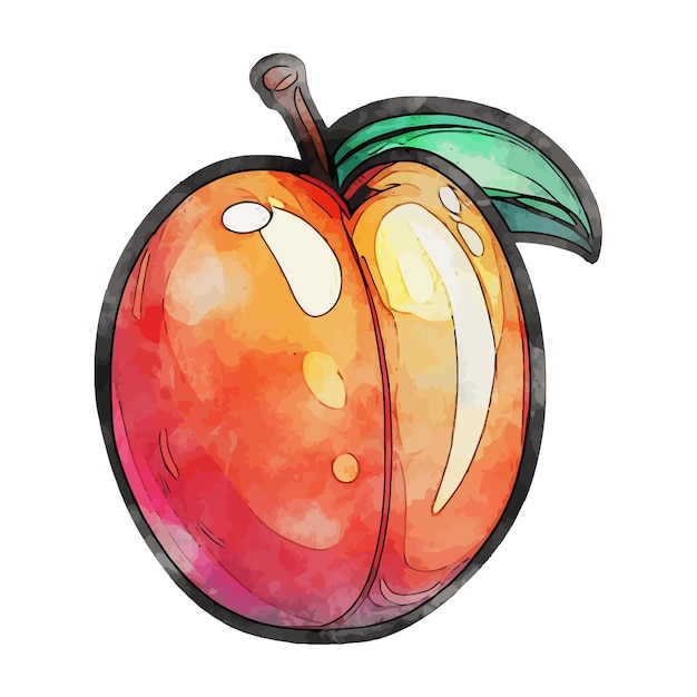 Peach watercolor vector illustration