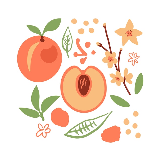 Peach with doodles clip art