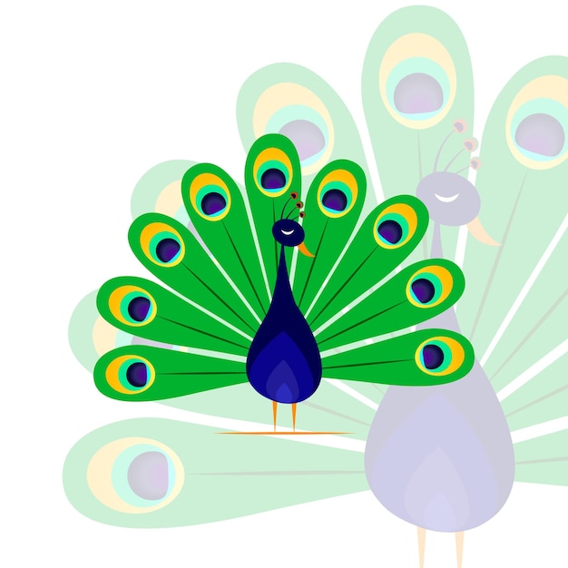 Peacock Abstract Vector Logo Design