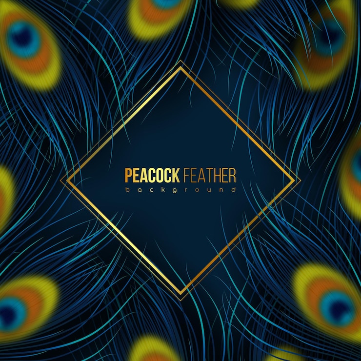 Vector peacock blue feathers background with golden frame place for text abstract composition vector illustration