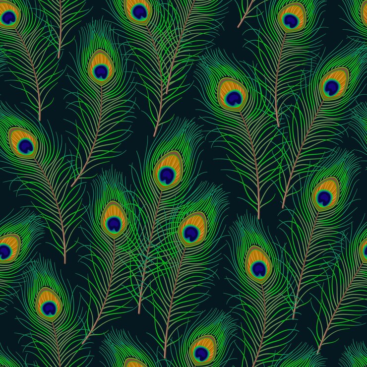 Vector peacock feather on black white background fluffy green feather from peafowl tail