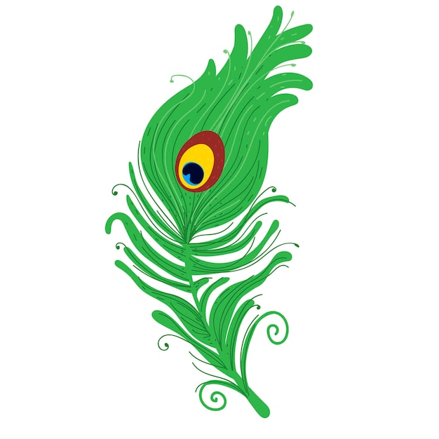 Peacock Feather. icon illustration vector. Peacock Feather SVG Stock Vector