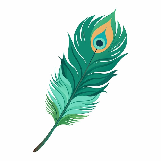 Vector peacock feather vector