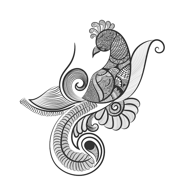 Peacock and flower hand drawn line art design